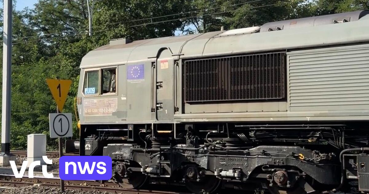 Genk cargo connect electrifies rail access to port by 2028 as the first in Belgium