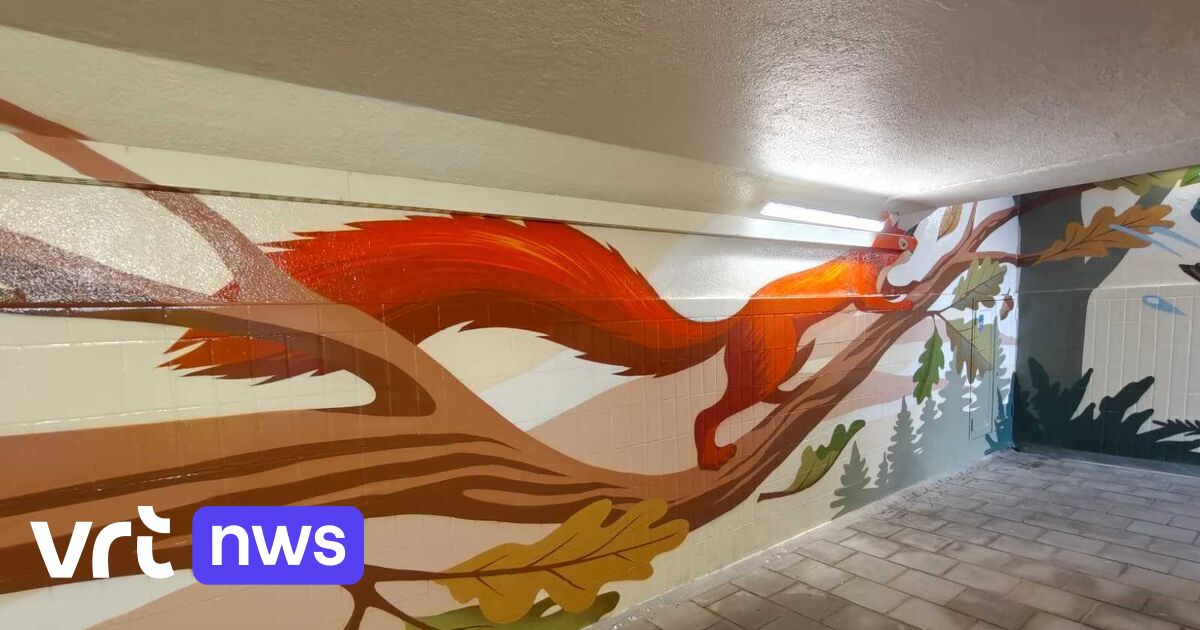 Muurschildering met dieren en planten moet vandalisme tegengaan in stationstunnel Sint-Joris-Weert