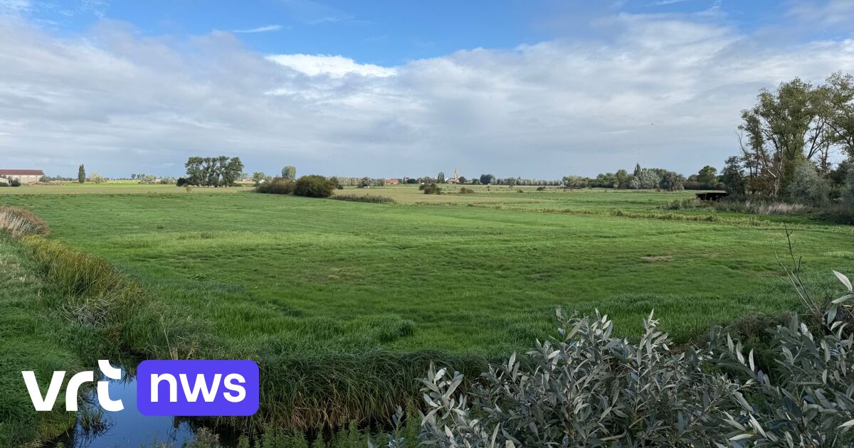 Une nouvelle zone tampon à Lo-Reninge doit permettre de lutter contre les pénuries d'eau et les inondations