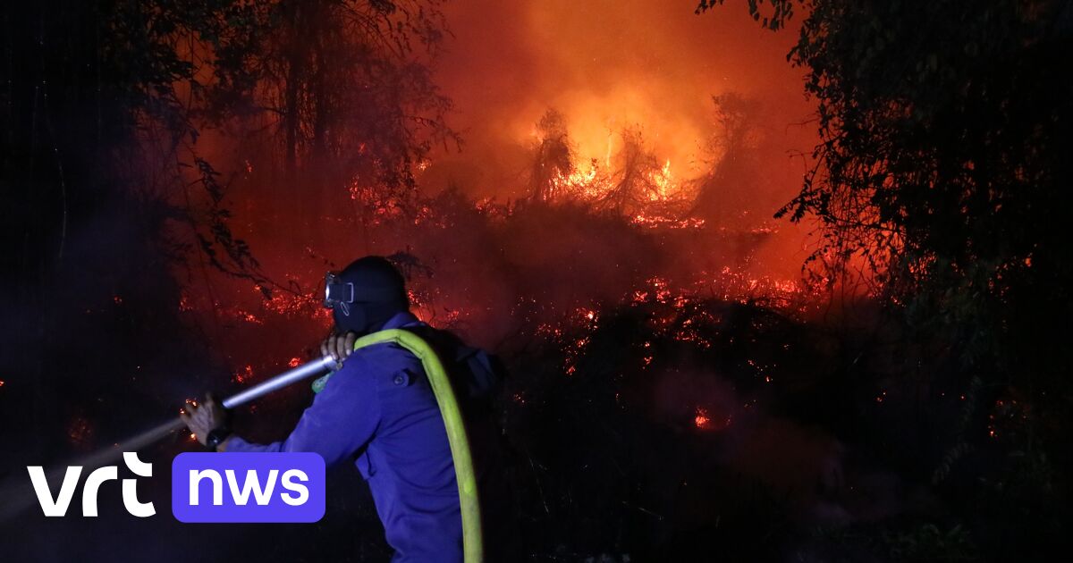 Indonesische monsterbranden razen door tropisch veengebied: record van rampjaar 2015 komt in zicht
