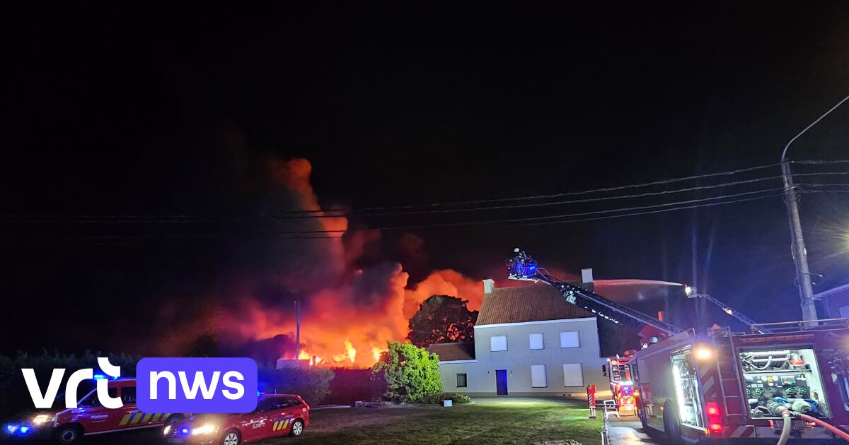 Grote brand verwoest voormalige Westorama-loods in Oostrozebeke