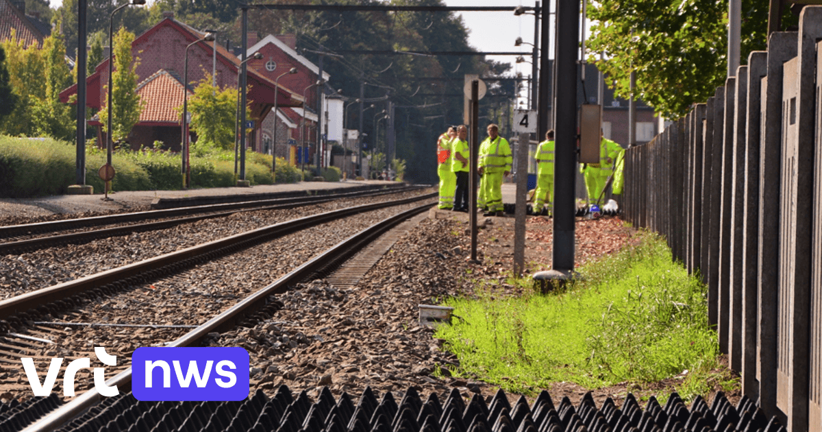 Sabotage in Nederland en zorgen in België