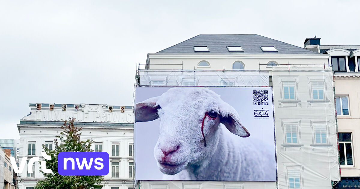 GAIA voert actie tegen onverdoofd slachten in Brussel met groot spandoek: 