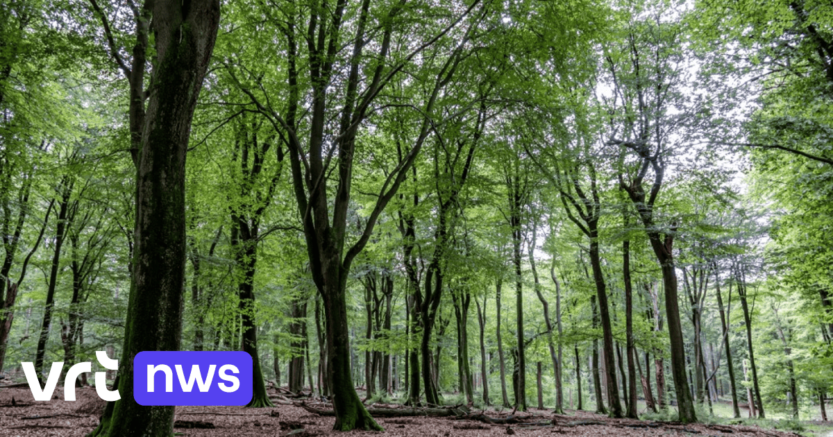 Radical changes to agriculture needed for Belgium to be carbon-neutral by 2050, study finds