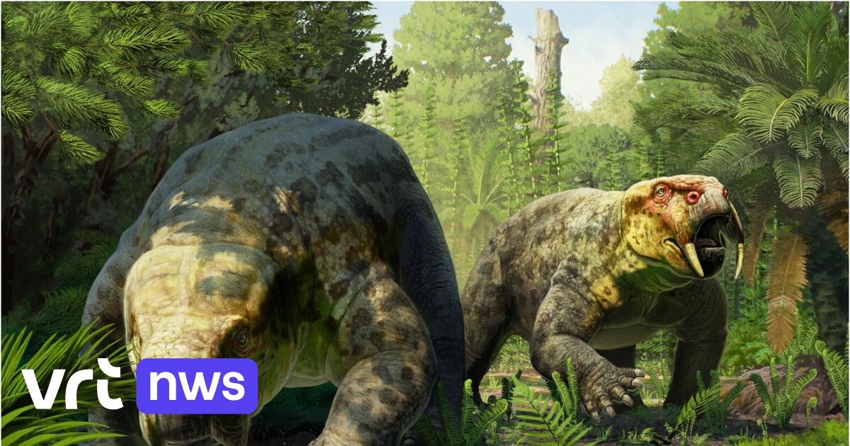 Fossil in Tanzania reveals new prehistoric species from 240 million years ago