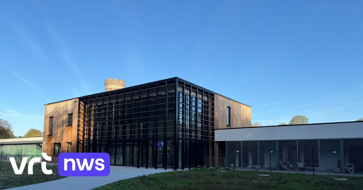 Dierenasiel in Oostende kampt met acuut geldtekort en start crowdfunding op: 