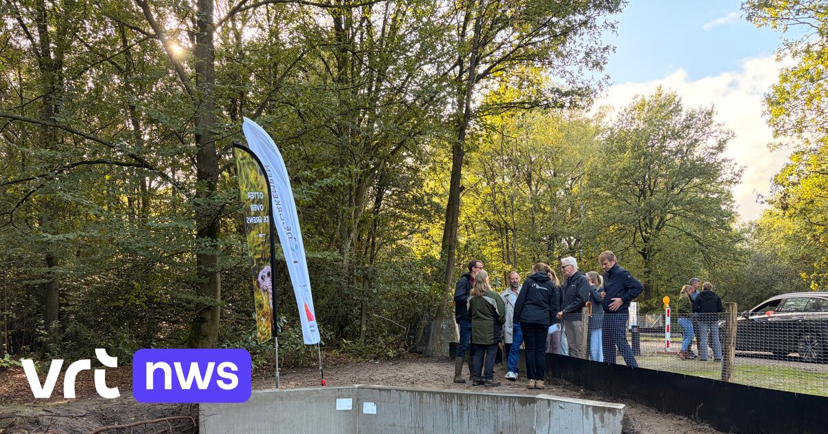 Ecotunnel aan Antitankgracht in Kapellen moet otters veilig onder de weg laten passeren
