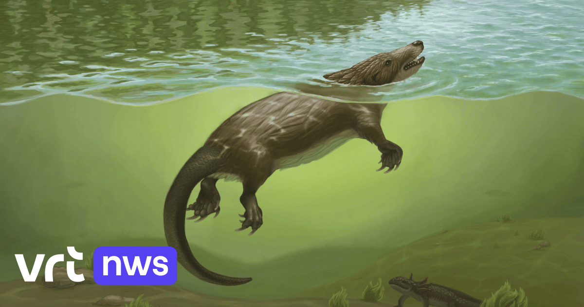 Meet the otter-like mammal that swam among dinosaurs