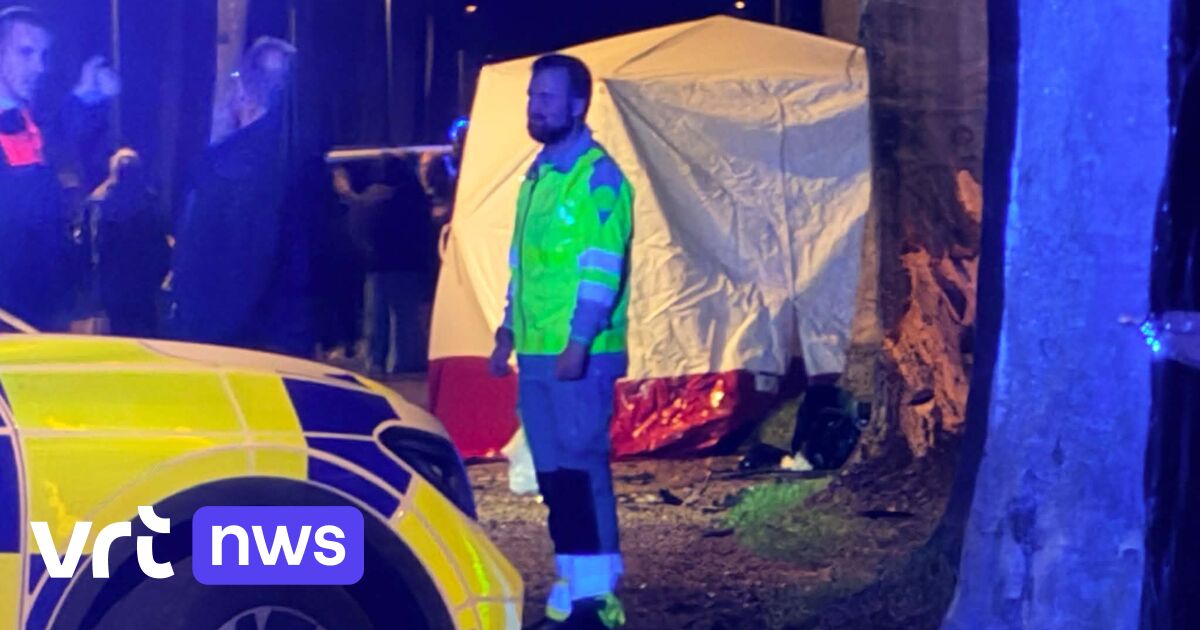 Man (50) overleden bij ongeval in Brugge, passagier (19) zwaargewond, bestuurder onder invloed van a