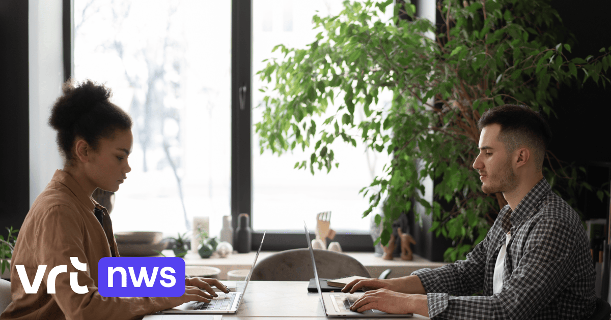 At a quarter of examined Belgian companies, women earn an average of five percent less than men in