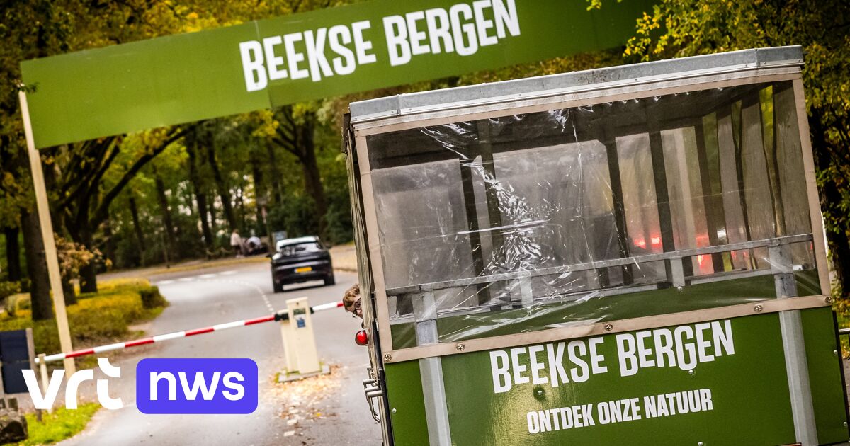 Dierenverzorgster overleden die zwaargewond raakte na aanval door panter in Beekse Bergen: 