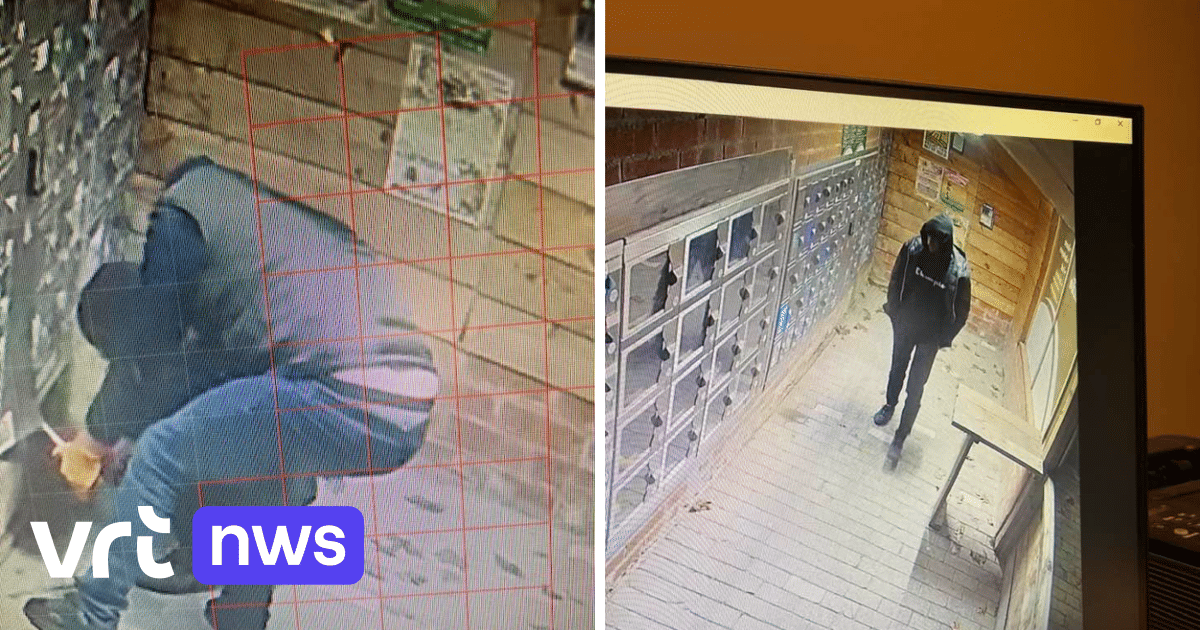 Foto bij: Inbrekers veroorzaken voor duizenden euro's aan schade bij aspergebedrijf in Kinrooi
