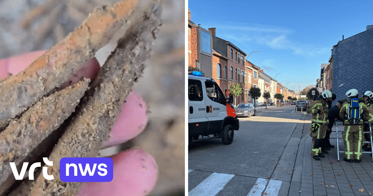 Munitie gevonden bij werkzaamheden in Heilig Hart Wijk Hasselt: geen gevaar voor omwonenden