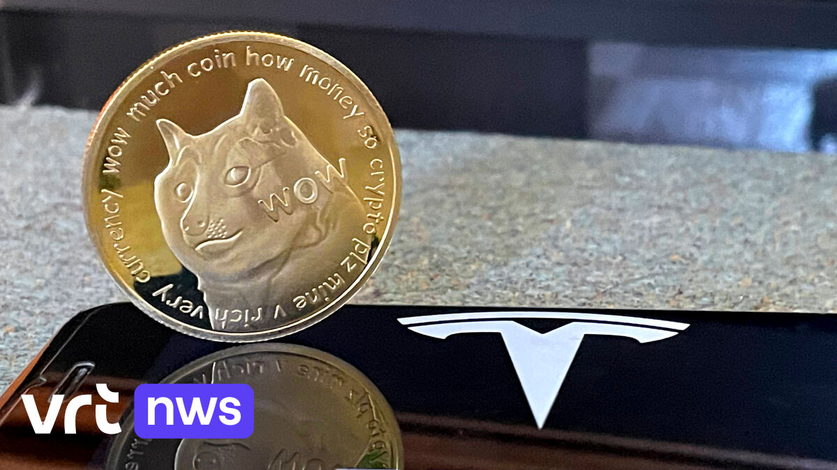 Elon Musk vervangt logo van Twitter 