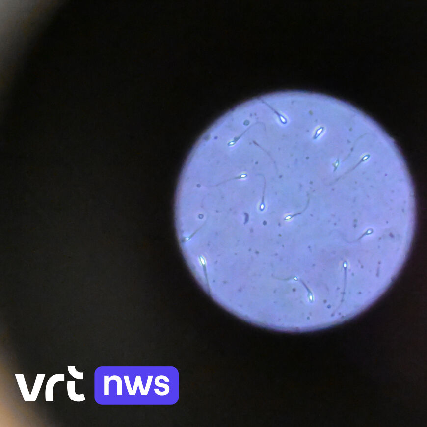 Spermatozoidlardan jirkanish