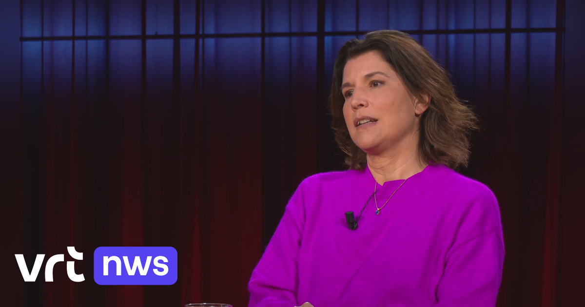VIDEO N-VA-voorzitter Van Peel verdedigt pensioenhervorming: 