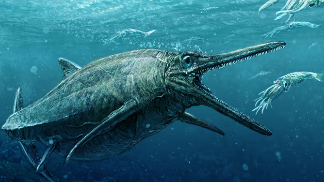 Vergeet Nessie, dit is een echt zeemonster" | VRT NWS: nieuws