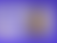 Groot drugsproces tegen Flor Bressers kort onderbroken: advocaat door ...