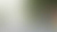 Ontslag : ce qu'il faut savoir — image 5