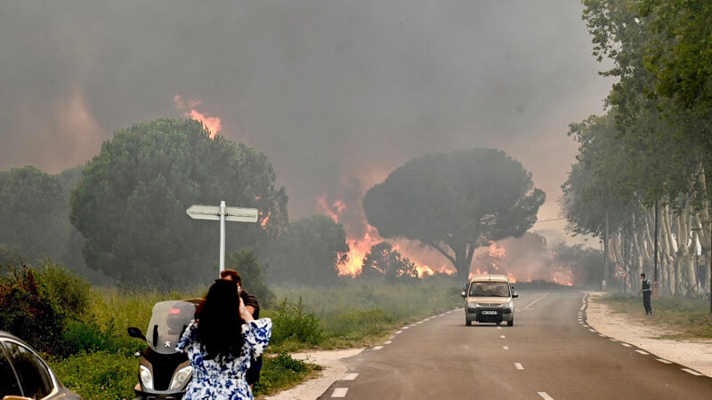 Hevige brand in Zuid-Frankrijk onder controle, meeste geëvacueerden teruggekeerd naar camping | VRT NWS: nieuws