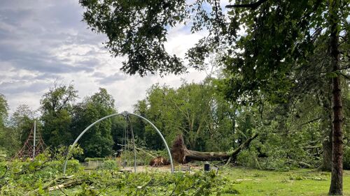 Noodweer maakt dodelijk slachtoffer: baby overleden in park van Ukkel; op verschillende plekken grote schade