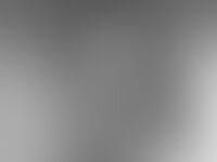 Preview Schedel die gevonden werd in Maasmechelen, blijkt van vermiste Nederlandse te zijn: doorbraak na 30 jaar dankzij DNA-onderzoek