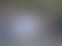 Preview Verkleed als suffragettes roepen vrouwelijke politici uit Zemst, Meise en Vilvoorde vrouwen op om te gaan stemmen