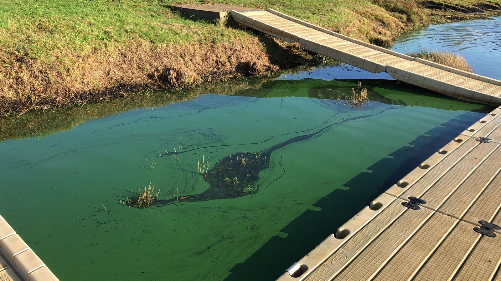 Foto Door blauwalgen kan er vaak niet aan watersport gedaan worden op het meer. Foto: Archief VRT NWS