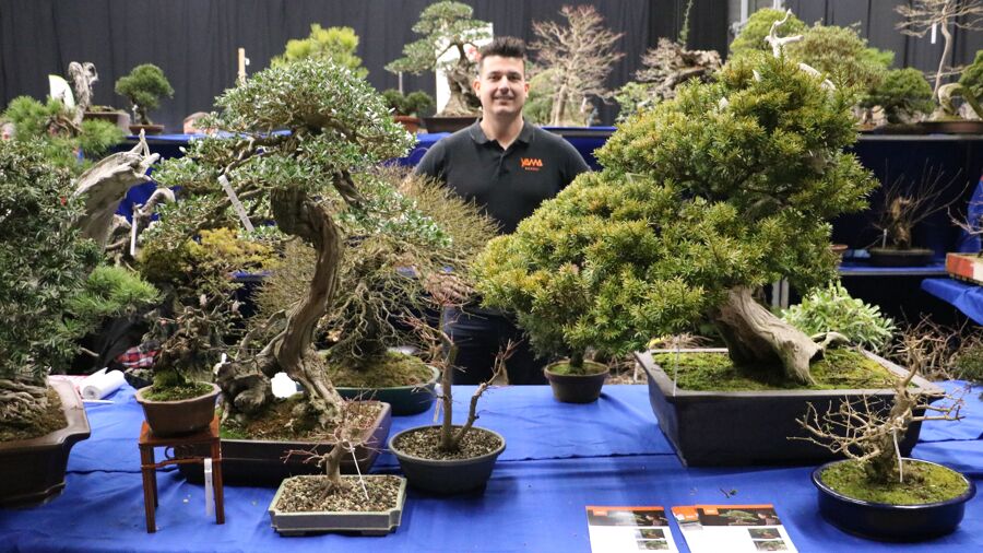 Grootste Europese bonsaishow viert 25-jarig jubileum in Genk: "Het is een  soort therapie" | VRT NWS Nieuws