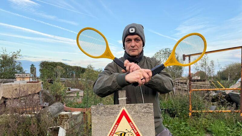 Foto De imker gaat de Aziatische hoornaar met elektrische vliegenmeppers te lijf. Foto: Thijs Pattyn