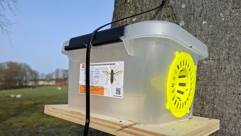 Foto De 500 vangkooien waren meteen uitgedeeld. Foto: VRT NWS