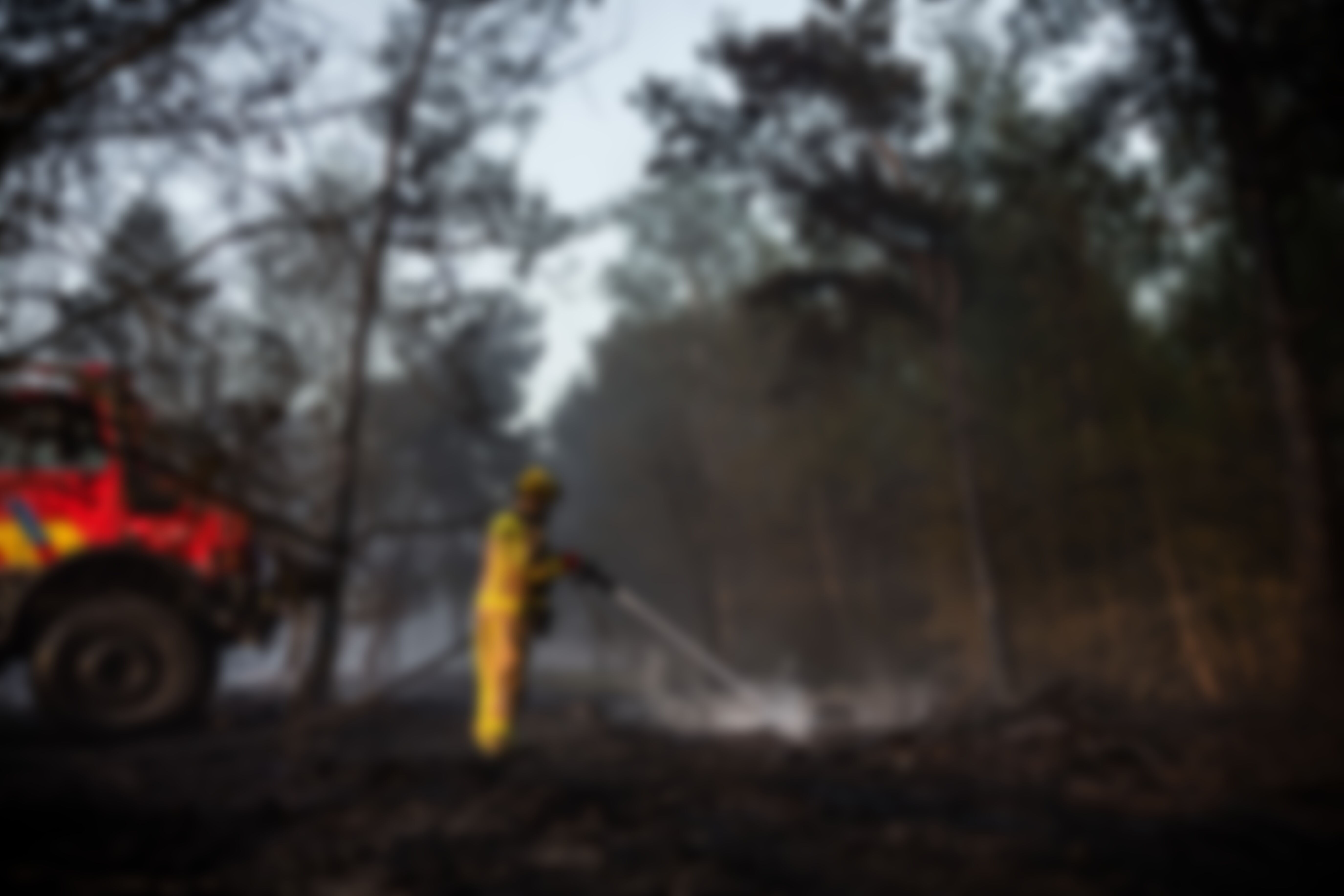 Incendie de Weert maîtrisé, les Pays-Bas sollicitent l'aide européenne pour la première fois — image 2