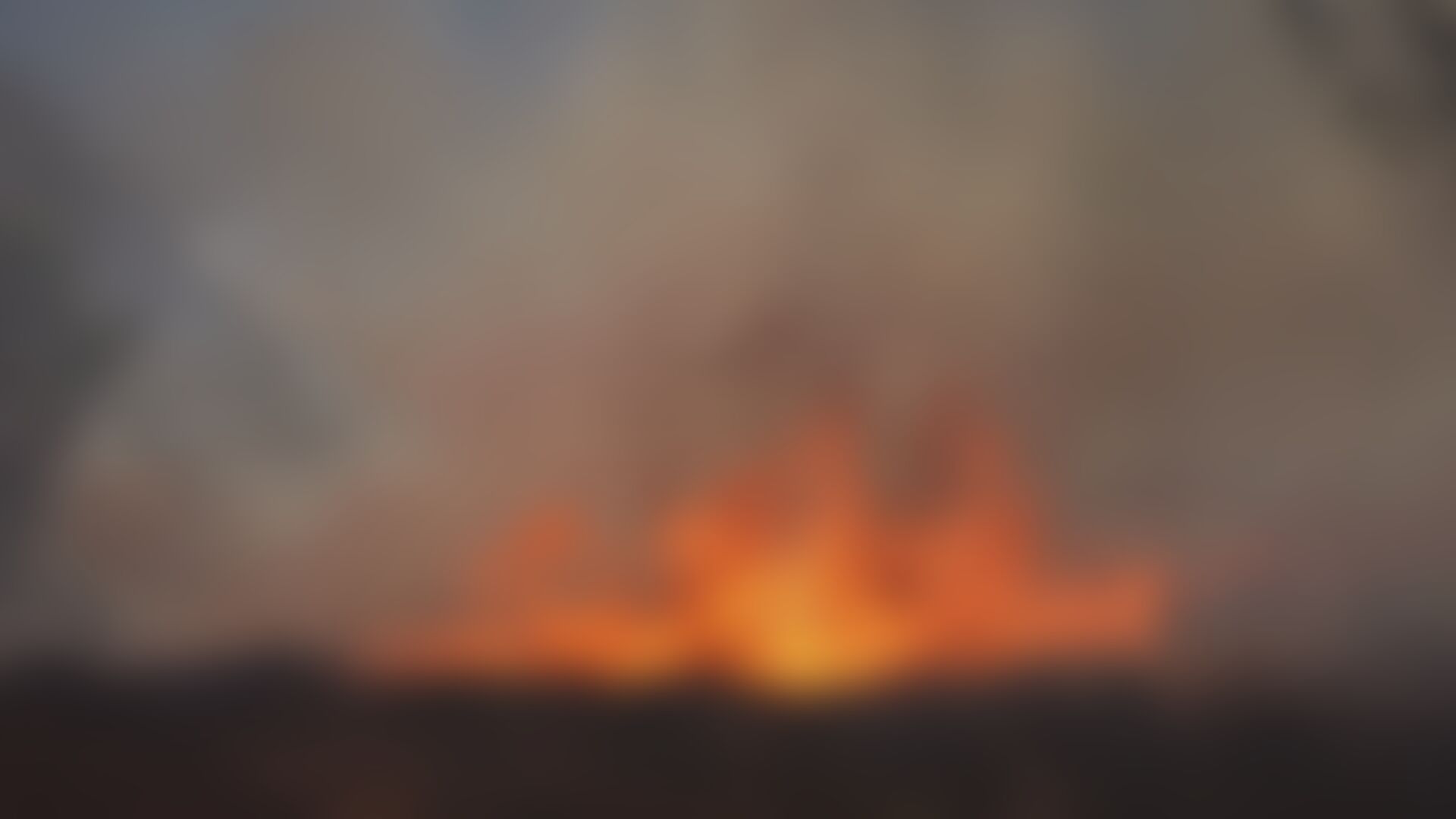 Incendie de Weert maîtrisé, les Pays-Bas sollicitent l'aide européenne pour la première fois — image 3