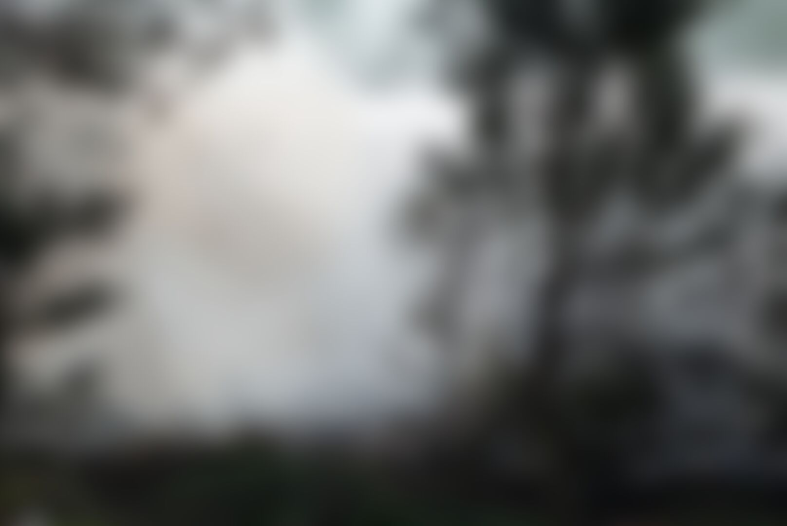 Incendie sur le camp militaire de Beverlo : 20 hectares de bruyère et de forêt partis en fumée — image 3