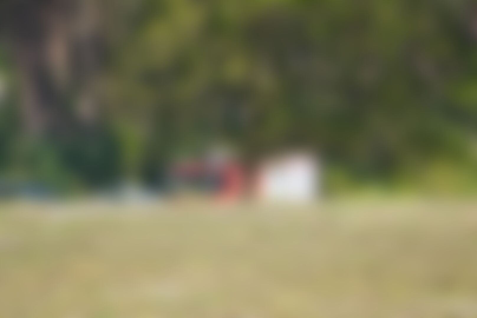Incendie sur le camp militaire de Beverlo : 20 hectares de bruyère et de forêt partis en fumée — image 6