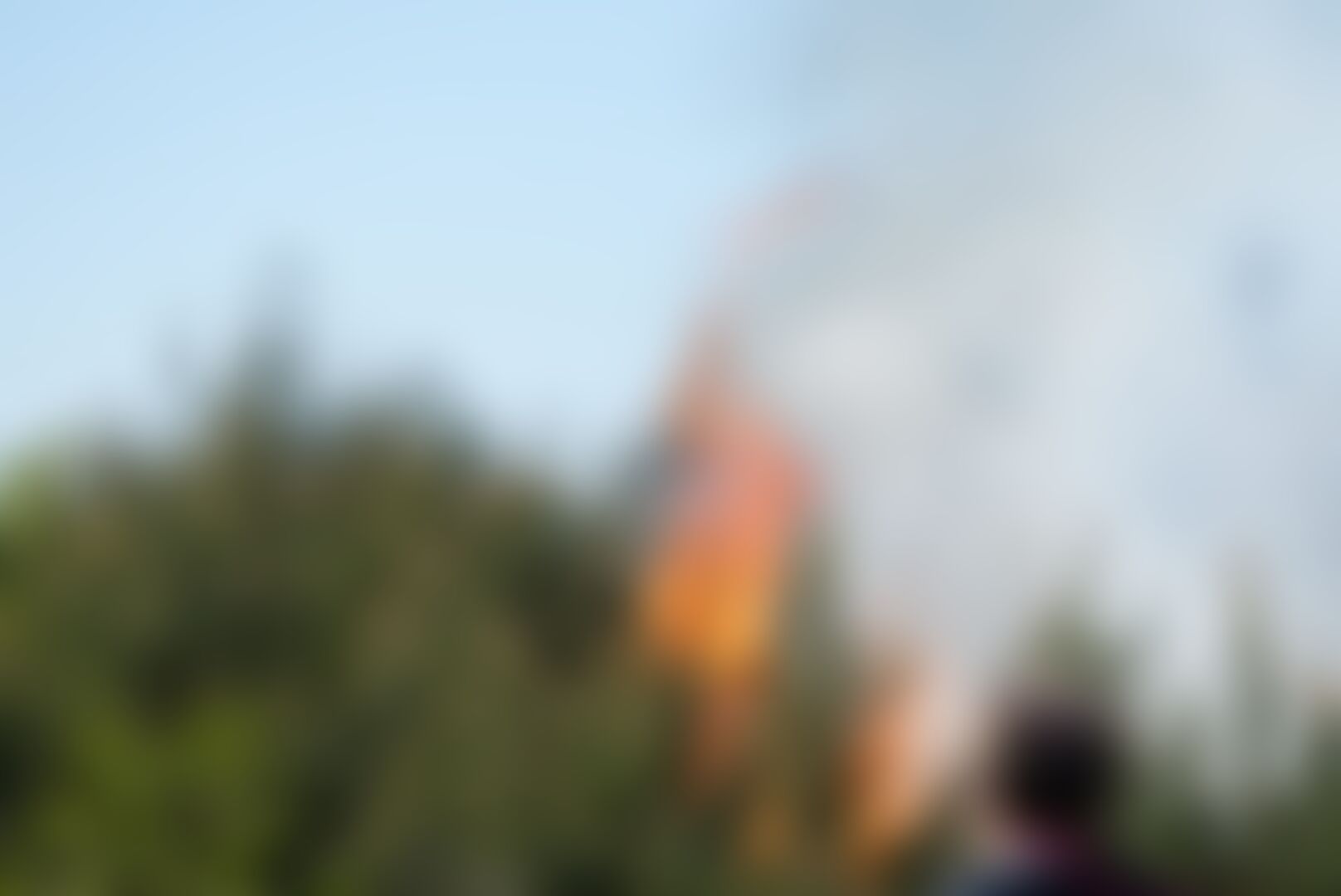 Incendie sur le camp militaire de Beverlo : 20 hectares de bruyère et de forêt partis en fumée — image 1