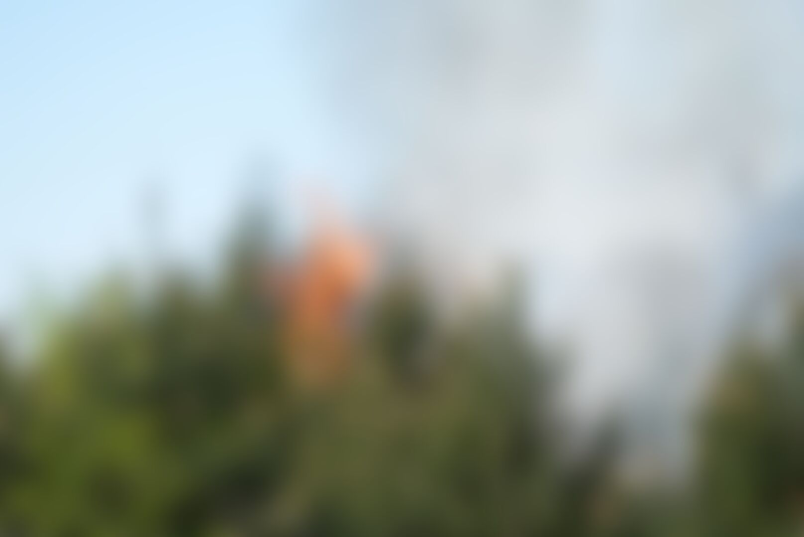 Incendie sur le camp militaire de Beverlo : 20 hectares de bruyère et de forêt partis en fumée — image 5
