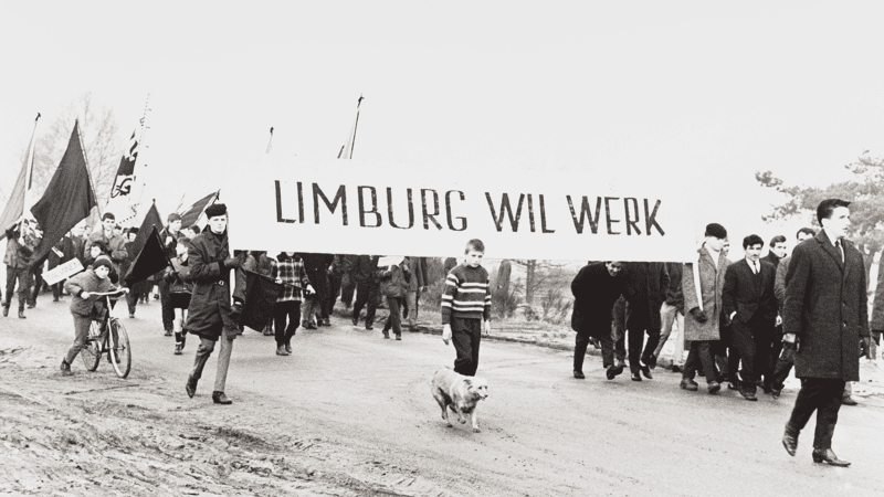 Foto La manifestation de la mine de Zwartberg au centre-ville de Genk. Des enfants et des adultes y participent, ainsi qu'un garçon à vélo, un autre portant une pancarte sur laquelle on peut lire "ITALIENS", et un chien. Les manifestants portent une grande banderole sur laquelle on peut lire "LE LIMBOURG VEUT DU TRAVAIL", ainsi que des drapeaux, notamment "Le Lion flamand" et des drapeaux noirs Foto: Johnny Harsch