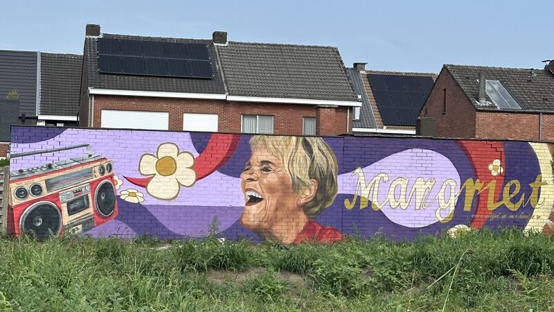Foto De muurschildering staat op de achterkant van een garage van een bewoner. Foto: Eva van der Klei