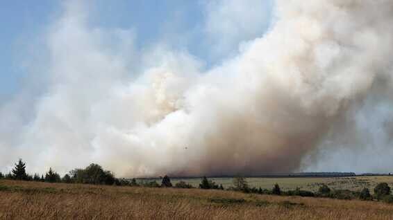 LIVE Al bijna 80 hectare natuurgebied verwoest door brand in Hoge Venen,  vuur nog niet onder controle | VRT NWS Nieuws