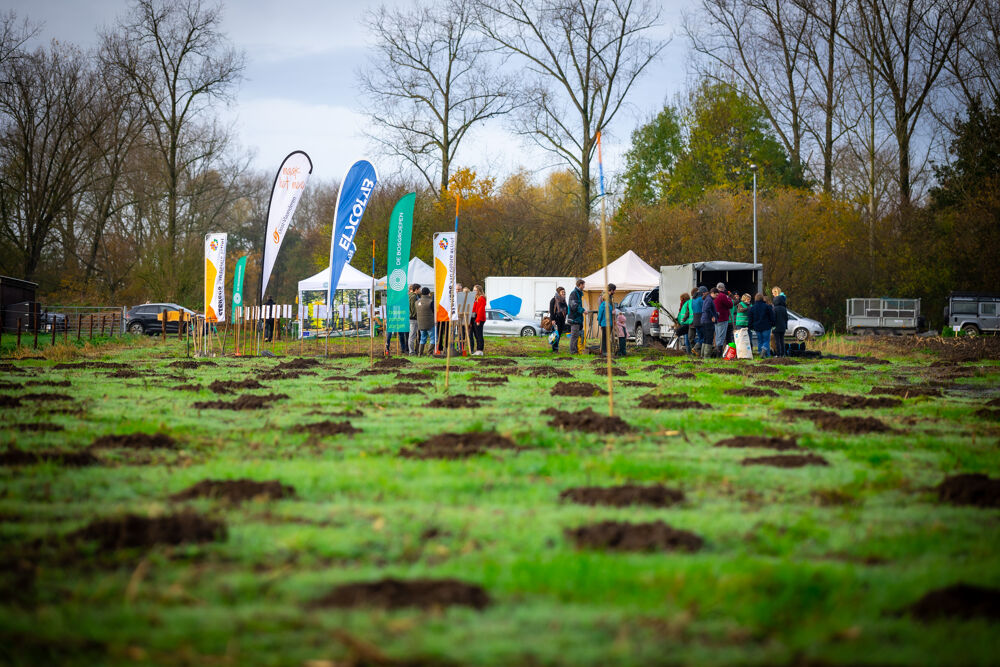 Foto De start van het bos in 2022. Foto: Elscolab