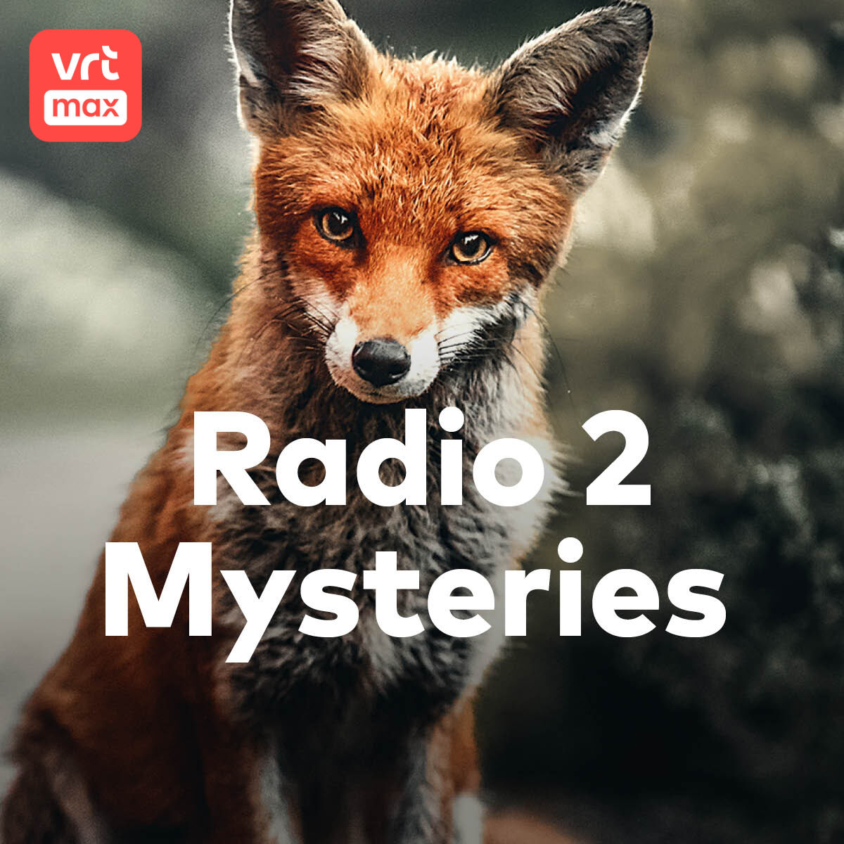 Houden kippen van muziek en vossen niet? - Mysteries in Vlaanderen  [Podcast] | VRT MAX