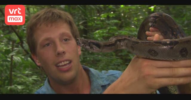 Freek in het wild - Aflevering 6 (Seizoen 3) | VRT MAX