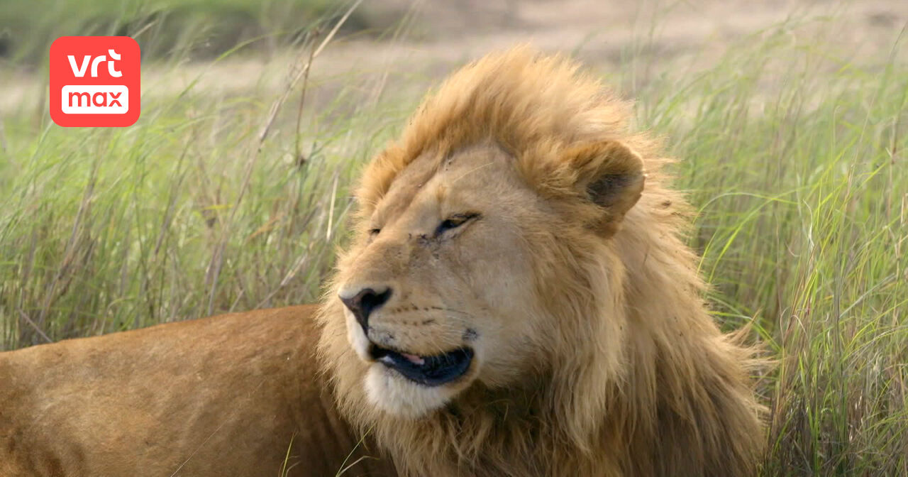 Helden van de wildernis - Aflevering 1 (Seizoen 2) | VRT MAX