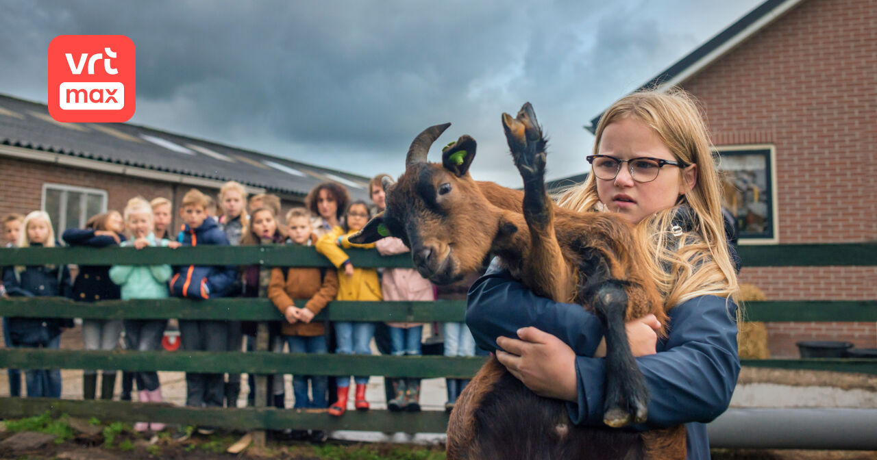 De regels van Floor Aflevering 6 (Seizoen 2) VRT MAX De regels van Floor Aflevering 6 (Seizoen 2) VRT MAX