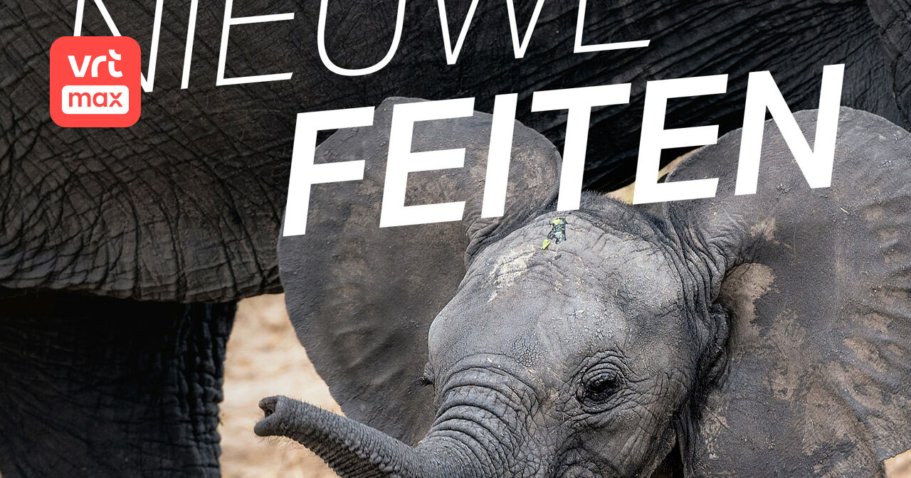 Olifanten begraven hun doden - Nieuwe Feiten [Podcast] | VRT MAX