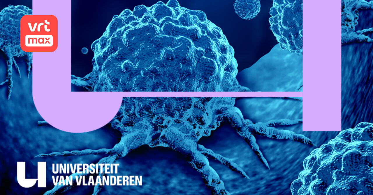 153. Hoe komt het dat je lichaam zichzelf soms aanvalt en ziek maakt