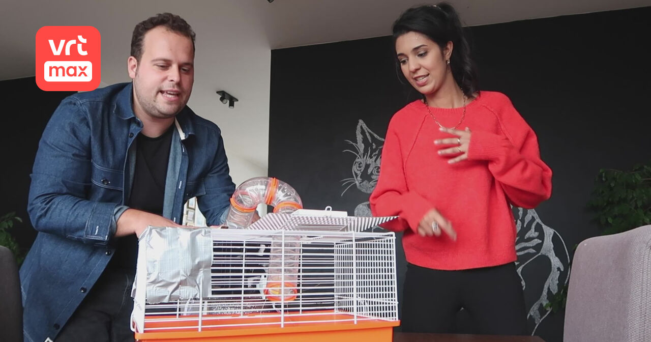 Maak dat de kat wijs - 6 (1) | VRT MAX