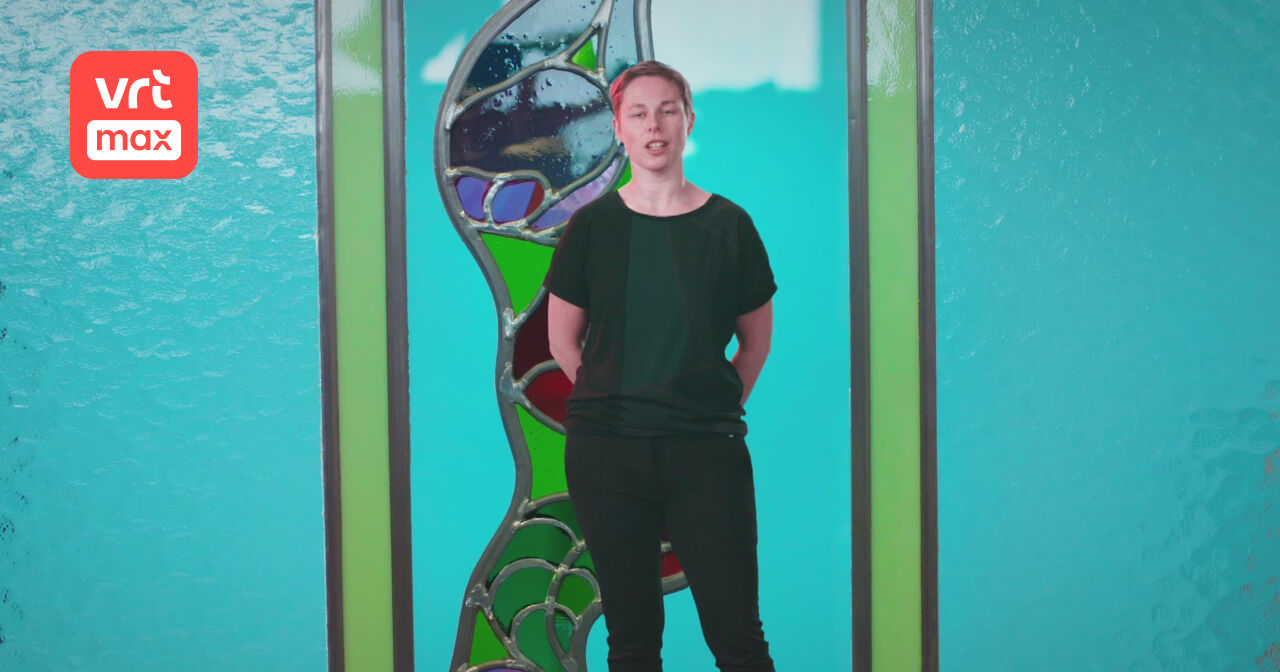 Later als ik groot ben - 2 (2) | VRT MAX