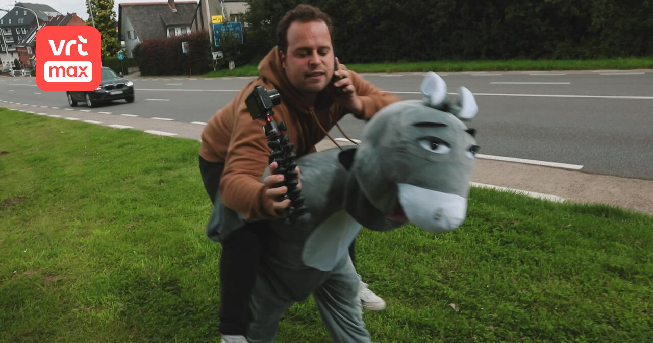 Maak dat de kat wijs - 2 (1) | VRT MAX